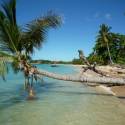 Pirogue et bateau Le Mrou d'Or