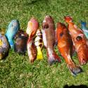 NOSY BE, SORTIES CHASSE SOUS MARINE, PÊCHE AU GROS,PLONGEE...