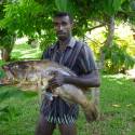 NOSY BE, SORTIES CHASSE SOUS MARINE, PÊCHE AU GROS,PLONGEE...