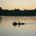 Nosy Be, presqu'le prive d'Antaolankena,le baobab